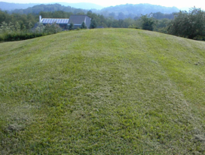 The body from tail to head.