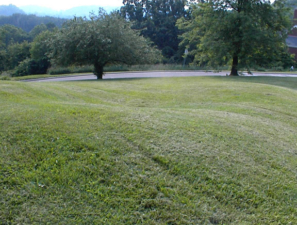 This was the head section of the mound.