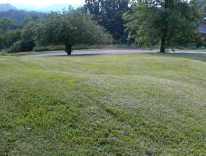 This was the head section of the mound.