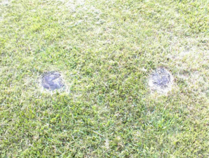 Two large rocks near the head section of the mound.