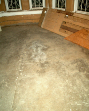 Now for the Grand Finale. This is the infamous stain on the floor left by Margaret Schilling's decomposing body.