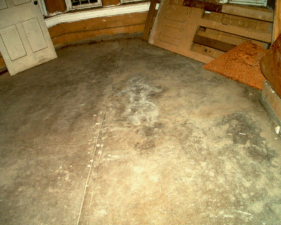 The stain prevailed no matter how hard the workers scrubbed the floor.