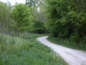 This pathway led down to the creek.
