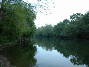 A photo overlooking Darby Creek.
