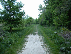 This trail led to the park's Indian mound.