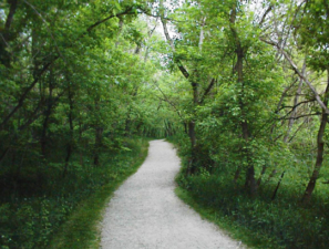 A trail that went up a large hill.