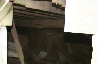 There was a small hole in the foundation that opened to this crawlspace.