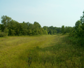 The view from the south window.