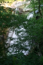 The trees here made it difficult to see the fall's beauty.