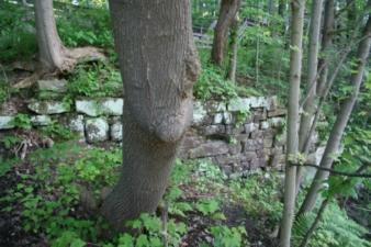 These blocks could be the ruins of the old grist mill.