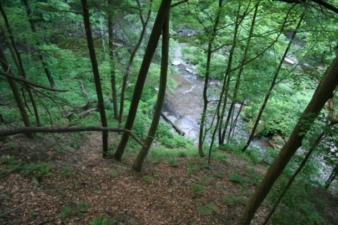 At the bottom of the ravine was Brandywine Creek, just downstream from the ralls.
