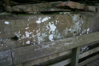 These holes in the rock appeared to be man made.