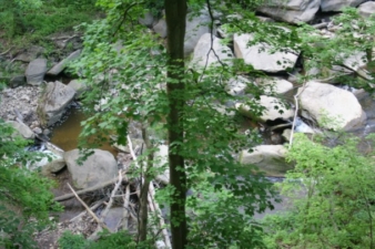 Some logs at the bottom of the ravine.