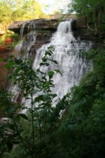 Our last look at the falls before departing.