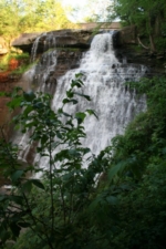 Our last look at the falls before departing.