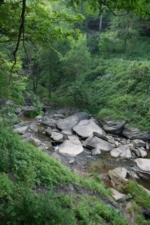 Large boulders of sandstone littered the creek.