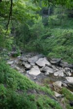 Large boulders of sandstone littered the creek.