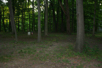 The cemetery was in a wooded area and was somewhat overgrown.