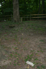 A few of the broken stones scattered about.