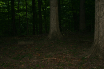A couple of large tombstones near the rear of the cemetery.