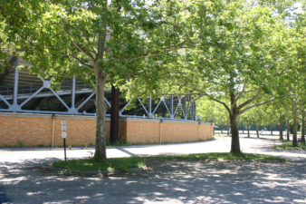 Maturing trees blocked the view of the stadium.