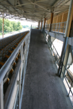 Going up the ramp to the stadium's upper concourse.
