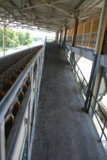 Going up the ramp to the stadium's upper concourse.
