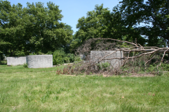 The park was once a beautiful tribute to baseball, but was now overgrown with fallen trees littering the grounds.