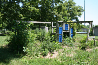 Weeds consumed the playground.