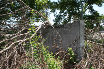 A tree had fallen over the third base wall.