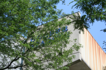 The Cooper Stadium lettering was partially obstructed by a large tree.