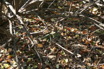 Another tombstone base.