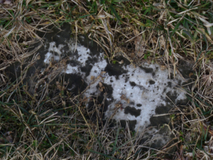 We believe this is the tombstone of Harriet Nicodemus, who died on September 12, 1925, a day before her 92nd birthday.