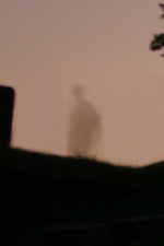 A zoom-in and cropped version of the previous photo to better see the figure.