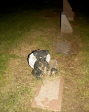 A teddy bear was at the grave of Nicole Johnston, who died before she reached one year old.