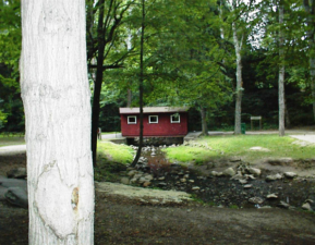 A small covered bridge carried park visitors over a creek.