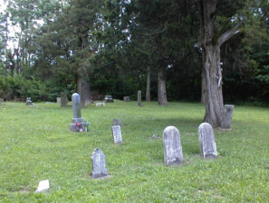 Most of the tombstones in the cemetery were over 100 years old.