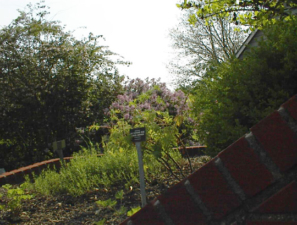 Each plant had an identification plaque.