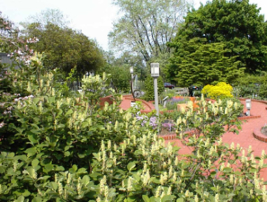 The awesome landscaping of the garden.