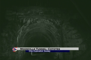 OES members hear several coyotes around the tunnel throughout the night. Moonville Tunnel: Coyotes