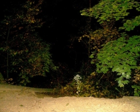 Looking down the cliff previously pictured.