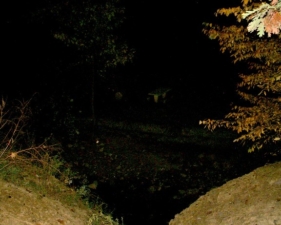 You can make out the picnic table in this photo.