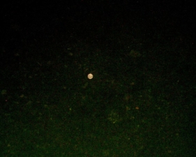 The moon's reflection in the creek near the center bridge.