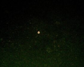 The moon's reflection in the creek near the center bridge.