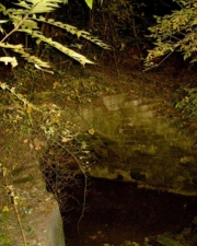 The creek went through this tunnel beneath the railroad tracks above.
