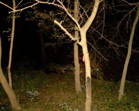 This was the area where OES member Jason Colwell witnessed a ghostly figure.