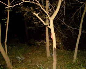 This was the area where OES member Jason Colwell witnessed a ghostly figure.