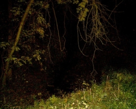 Colwell saw a darkened figure in the creek that disappeared when he tried to get a better look.