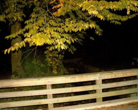 Another attempt to capture the ghost in a photo with no results.