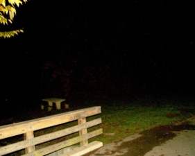 You can see another picnic table in the distance from the center bridge.